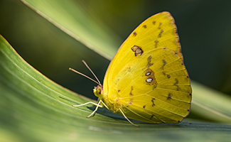 Biology, Sustainability, Ecology resources for you