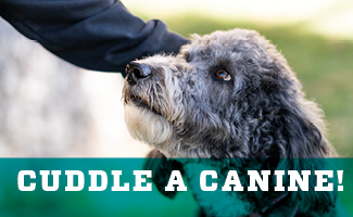 Don't Miss Cuddle a Canine on April 3